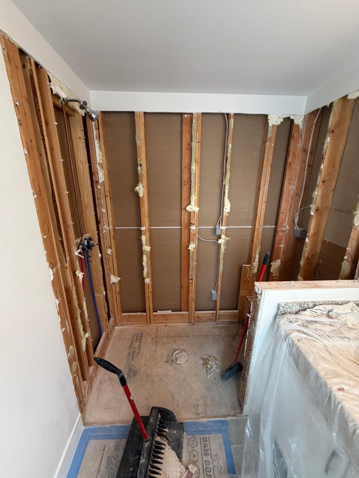 Project Ann Arbor Shower Renovation: From Framework to Finish image